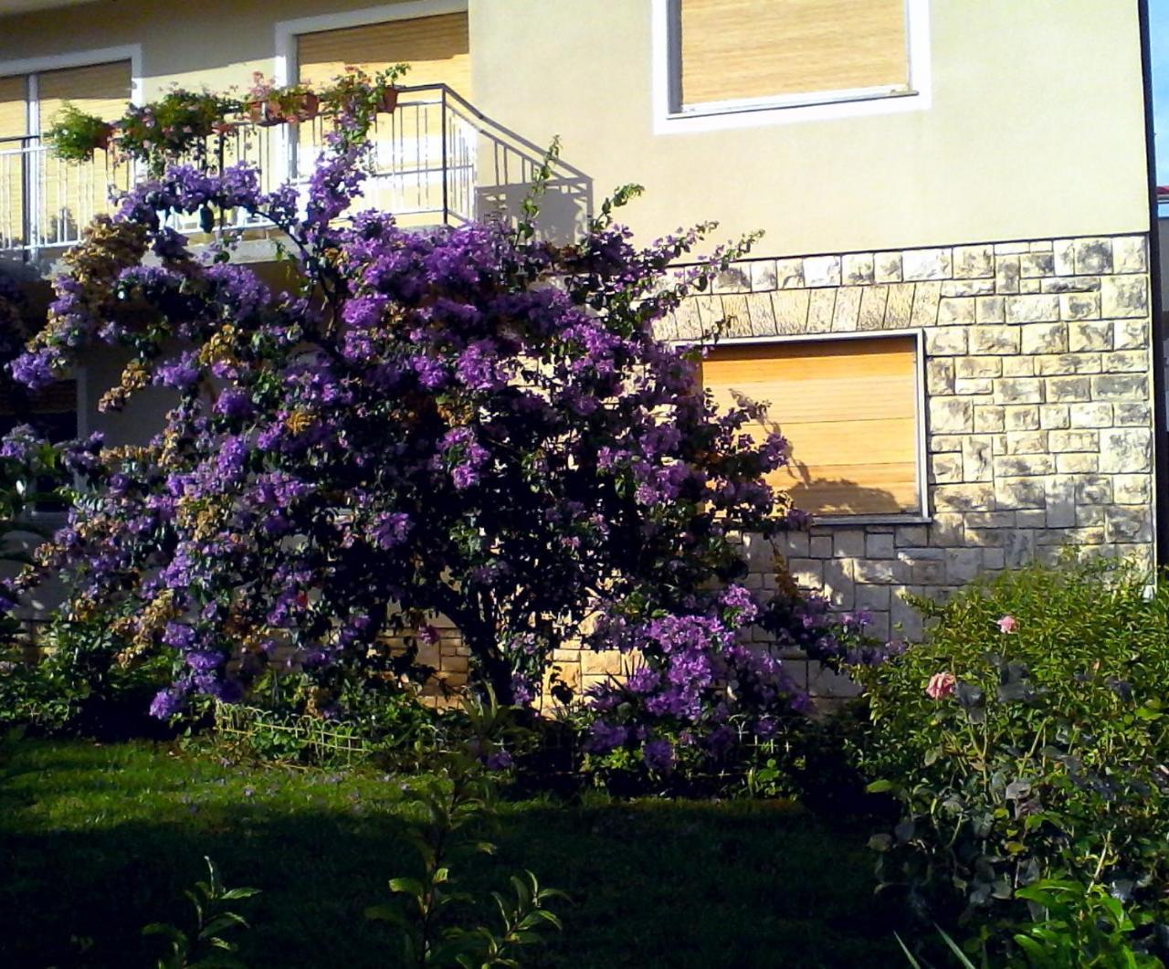 Sweet Apartment In פומר מראה חיצוני תמונה